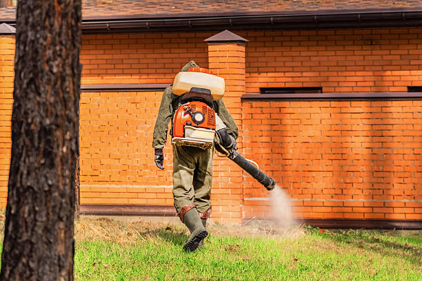 Top rated local Mosquito Control specialists in South San Gabriel, CA